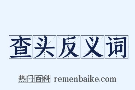 查头反义词是什么意思的图片